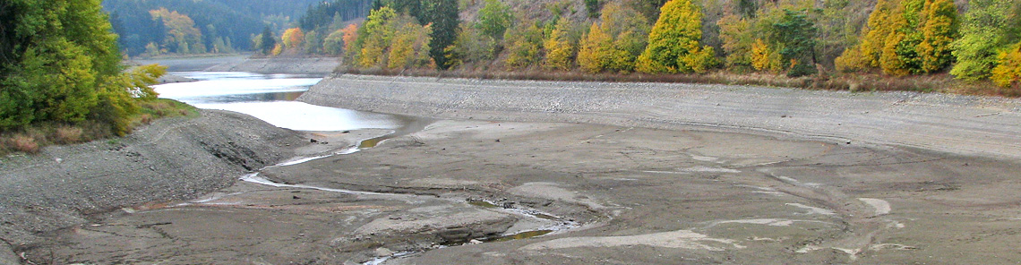 Niedrigwasser an der Saale