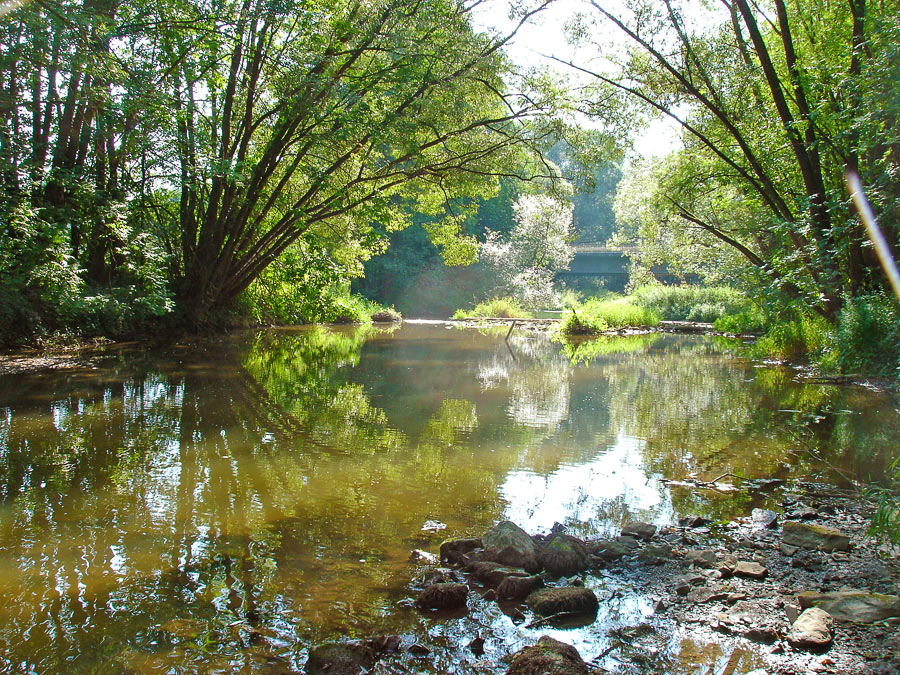 Die Schwarzach bei Kinding. Im Hintergrund ist eine Brücke zu sehen. Die Flussufer sind beidseitig mit Bäumen bestanden, die sich in der glatten Wasseroberfläche spiegeln. Die Bildmitte und der Vordergrund werden vom Fluss eingenommen. Dabei tritt rechts unten ein steiniger Uferbereich hervor.