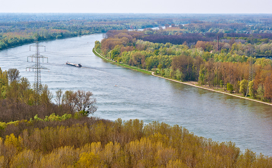 Eine Rheinschleife bei Karlsruhe. Im Vorder- und Hintergrund befinden sich Auwälder an den Ufern. Der Strom liegt im Zentrum des Bildes und nimmt etwa die Hälfte der Bildfläche ein. Er wird von einer Hochspannungsleitung überspannt. Außerdem ist ein Frachtschiff auf dem Rhein zu sehen.