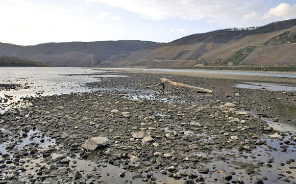 Ein Abschnitt des Rheins bei Niedrigwasser. Im Hintergrund ziehen sich Hügel entlang des Ufers hin, während im Vordergrund das teilweise trocken gefallene Flussbett zu sehen ist.