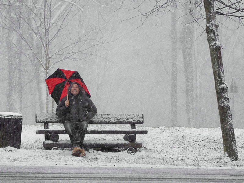 Eine verschneite Parkbank steht an einer Straße im Wald, auf der eine Person mit Regenschirm sitzt.